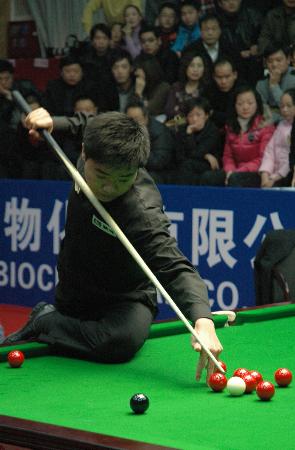 可以从几个 可以从几个