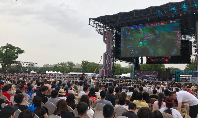 数量和影响 数量和影响