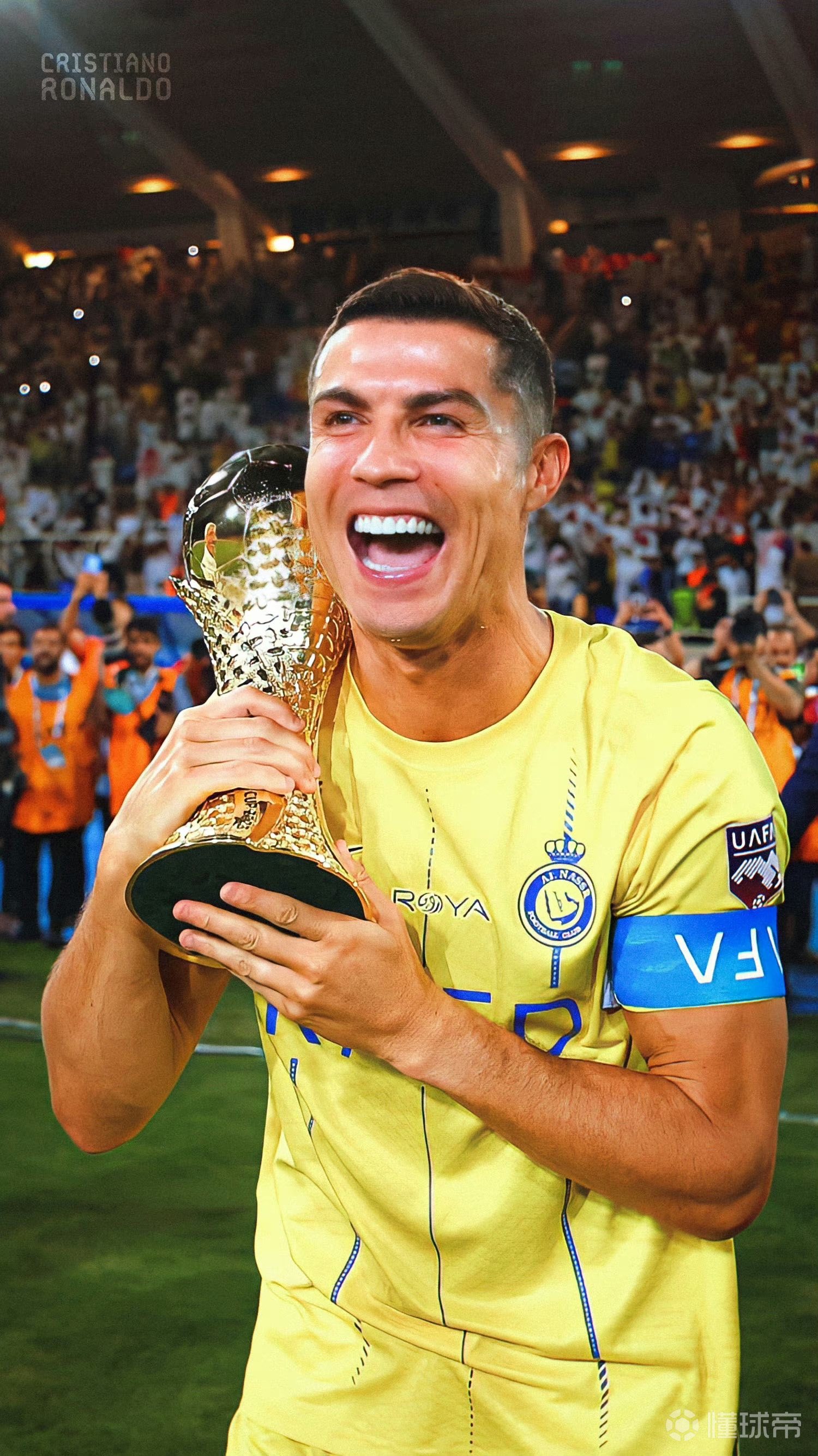 有机地装进 有机地装进