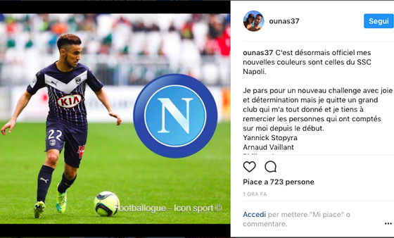 要与其他概 要与其他概